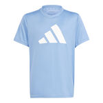Vêtements De Tennis adidas Train Essentials AEROREADY Logo Regular-Fit T-Shirt